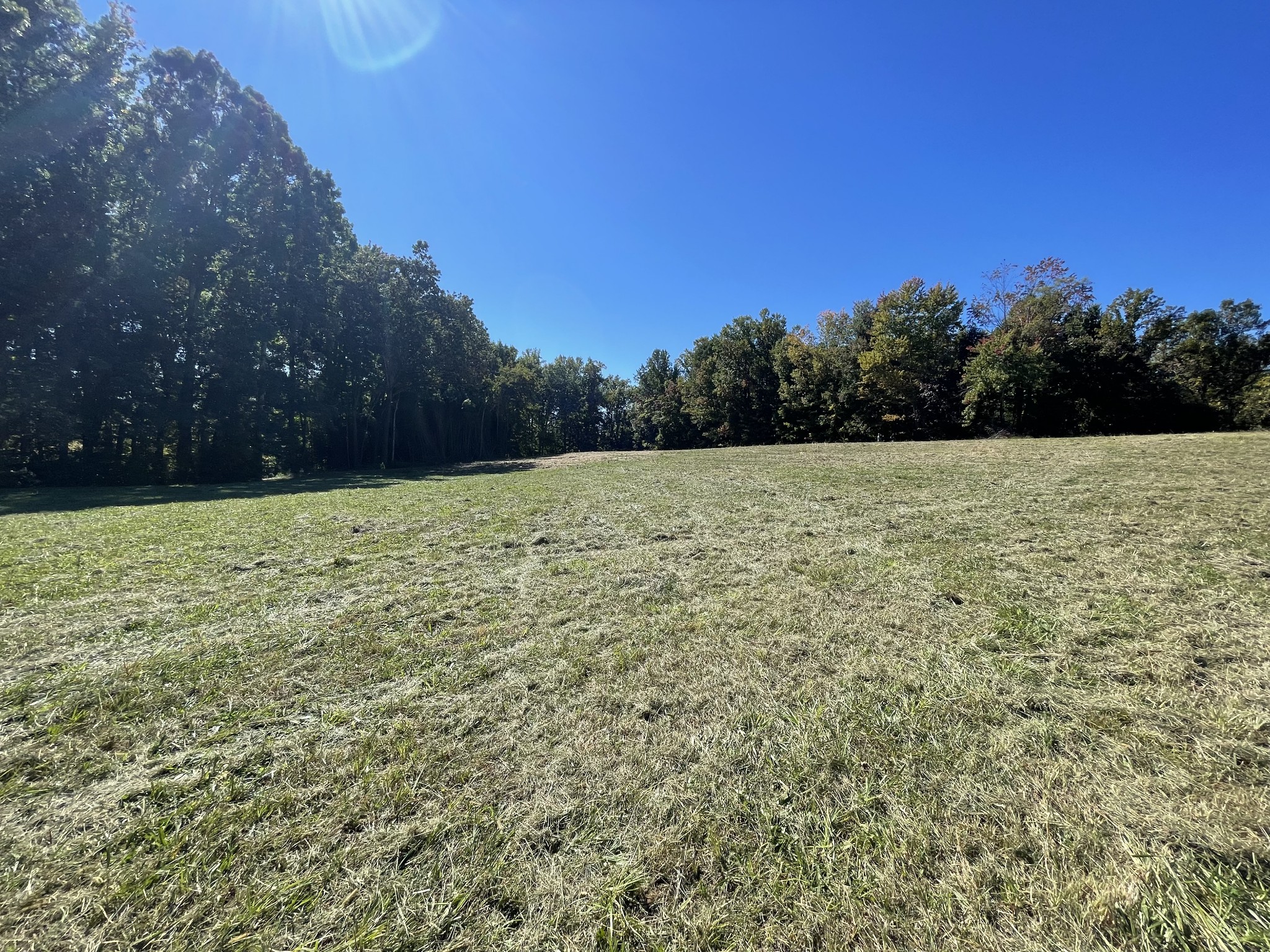 4 King Ridge Road Dowelltown, TN 37059 - Photo 8 of 8 Gallery Image 8