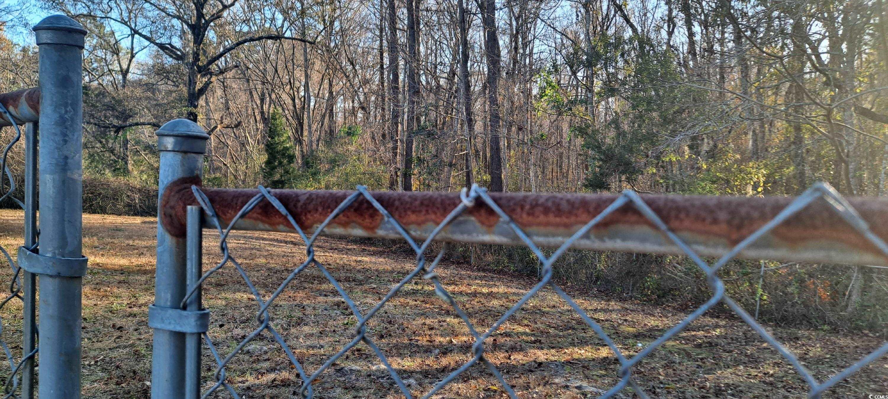 9816 Powell Road Georgetown, SC 29440 - Photo 4 of 20