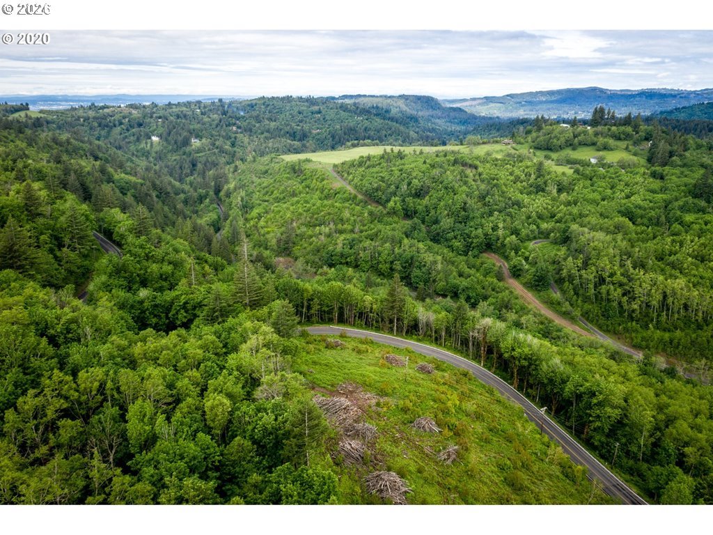 0 Mt Pleasant Road Washougal, WA 98671 - Photo 3 of 17