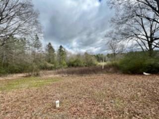 20228 Stafford Road Kentwood, LA 70444 - Photo 2 of 9