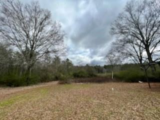 20228 Stafford Road Kentwood, LA 70444 - Photo 3 of 9