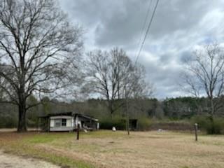 20228 Stafford Road Kentwood, LA 70444 - Photo 4 of 9