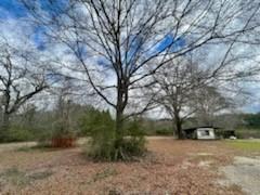 20228 Stafford Road Kentwood, LA 70444 - Photo 5 of 9