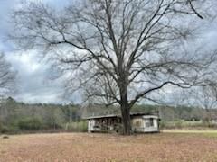 20228 Stafford Road Kentwood, LA 70444 - Photo 7 of 9