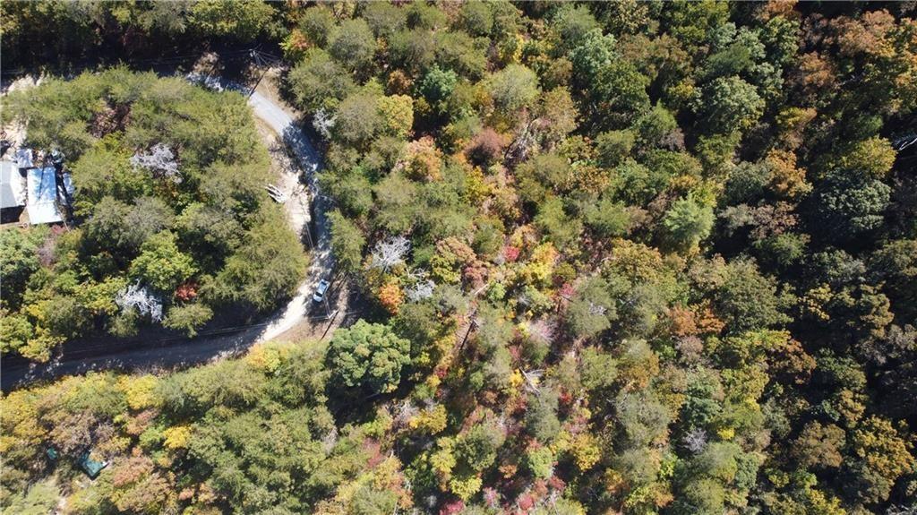 169 Jasmine Drive Ranger, GA 30734 - Photo 26 of 61
