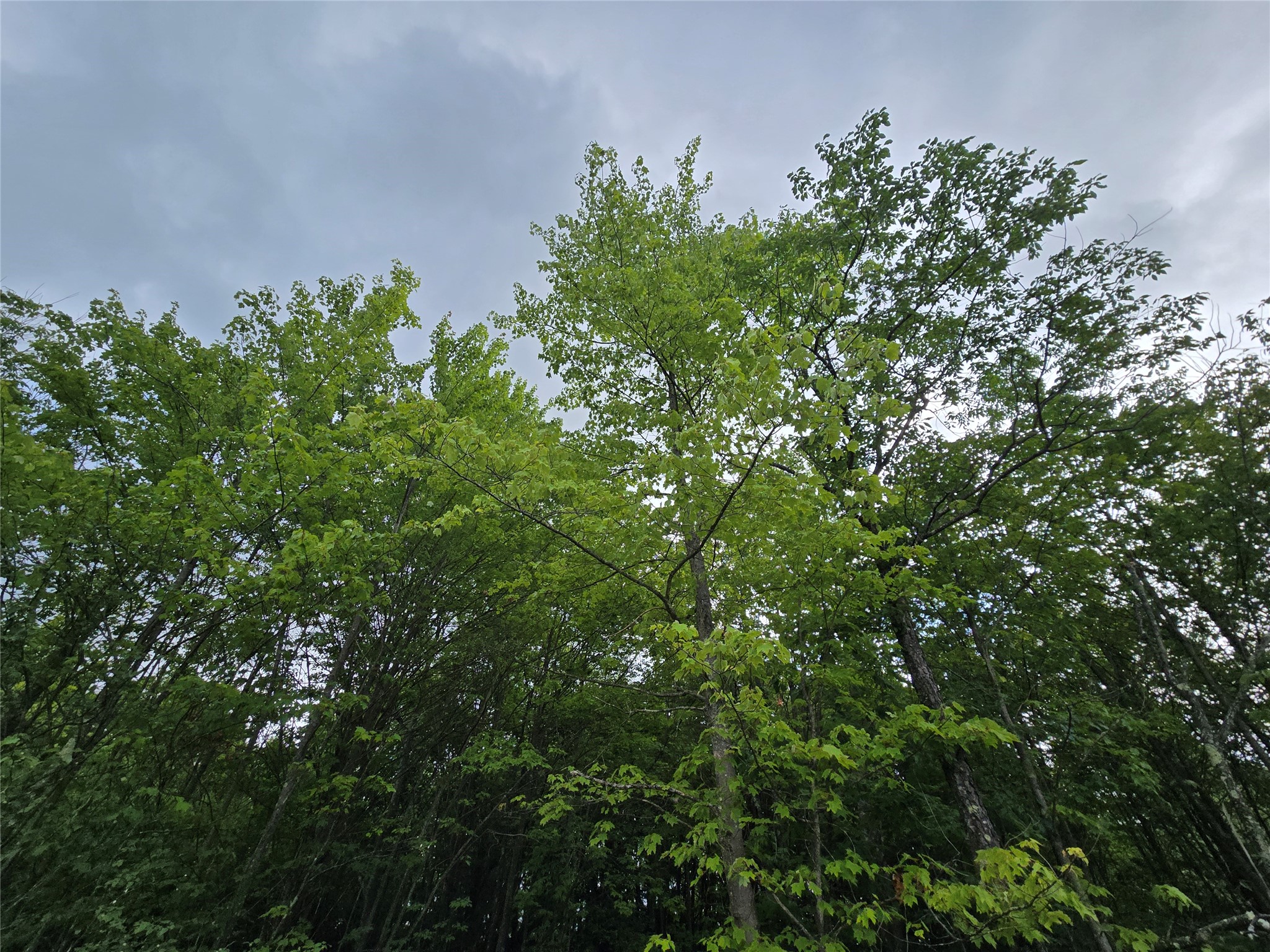 143 Swift Road, Unit 3 Binghamton, NY 13905 - Photo 14 of 31 Gallery Image 14
