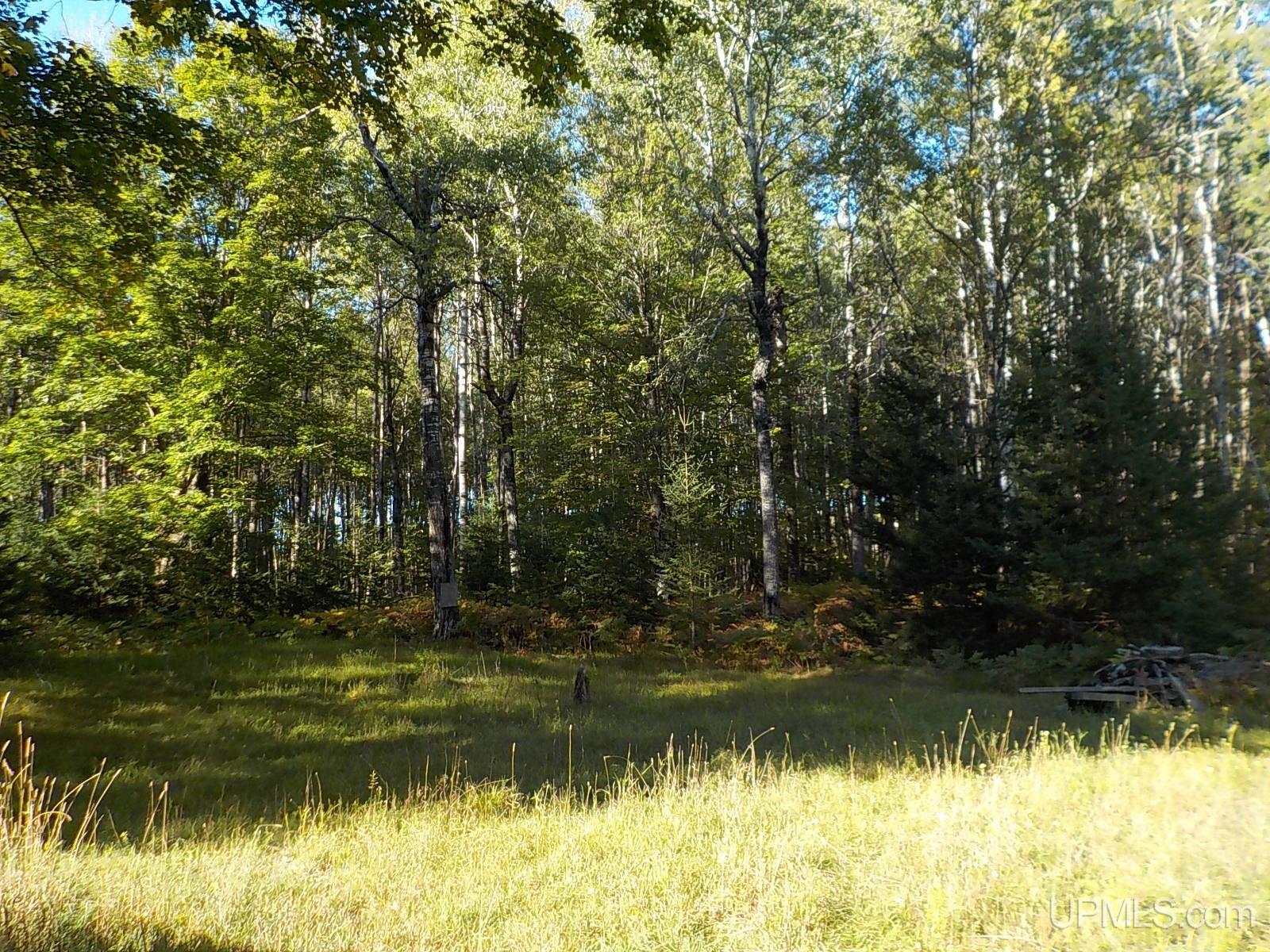 930 Way Dam Road Crystal Falls, MI 49920 - Photo 9 of 30