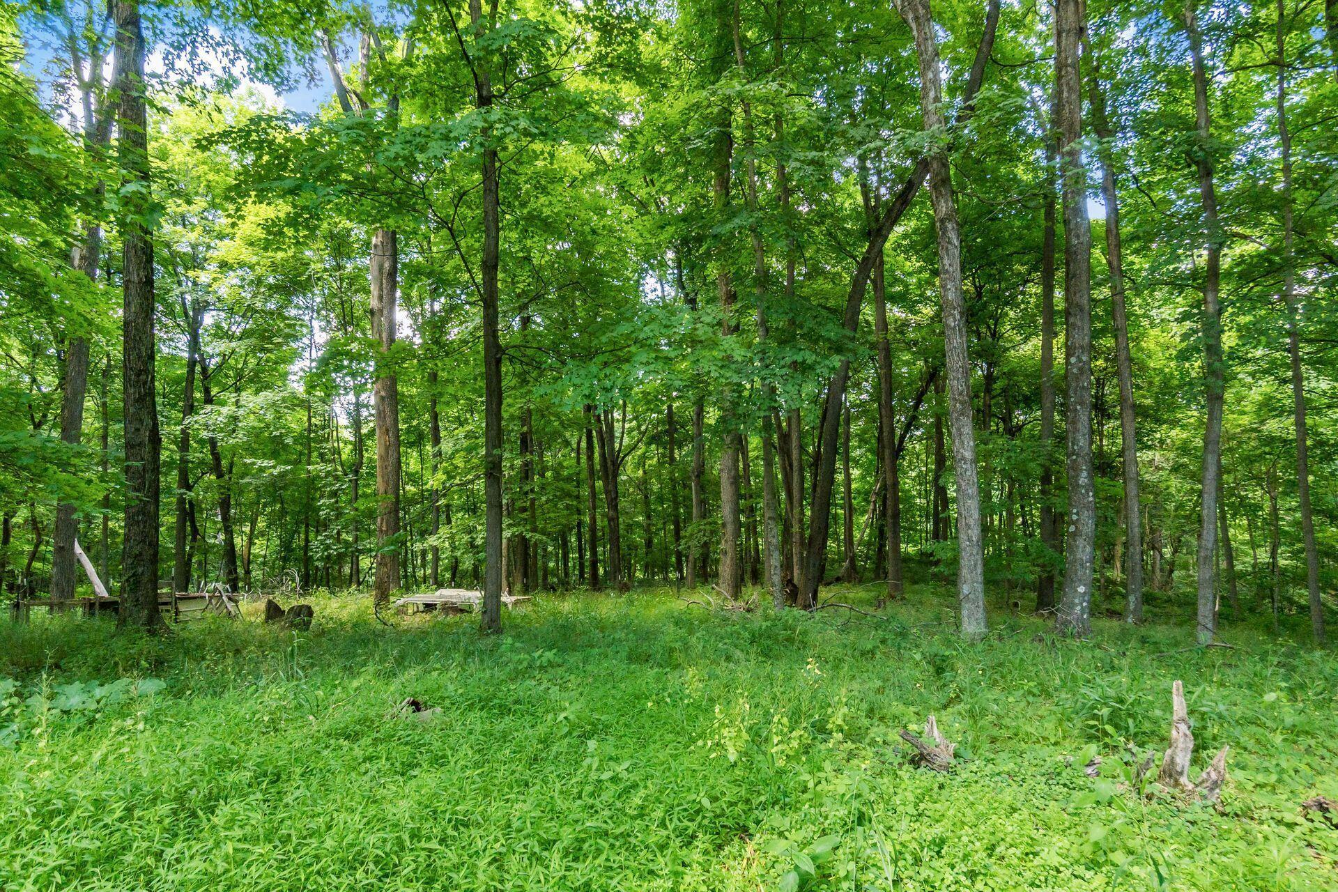 13807 Marshall Road Rockbridge, OH 43149 - Photo 15 of 33