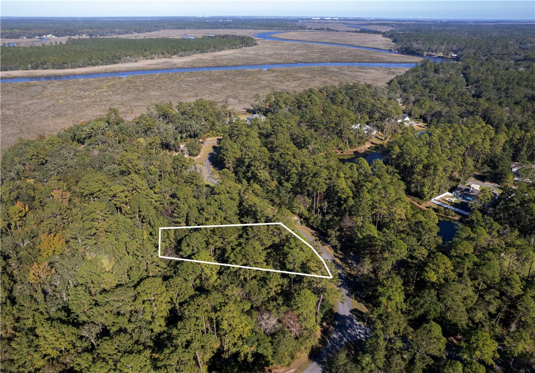 Lot 53 Sanderling Trace Waverly, GA 31565 - Photo 6 of 7