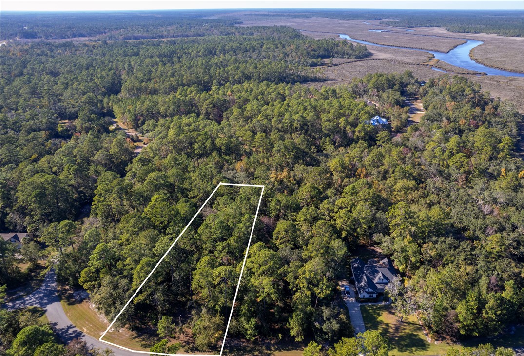 Lot 53 Sanderling Trace Waverly, GA 31565 - Photo 7 of 7