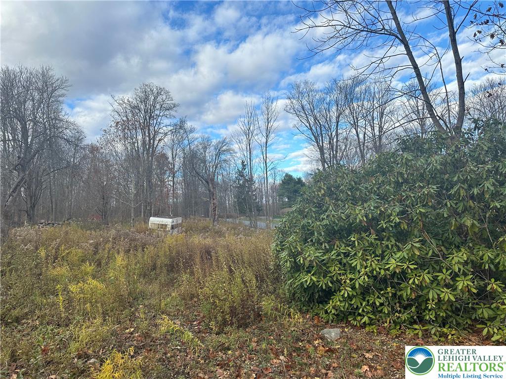 27 Richland Road Moscow, PA 18444 - Photo 4 of 10 a view of a back yard