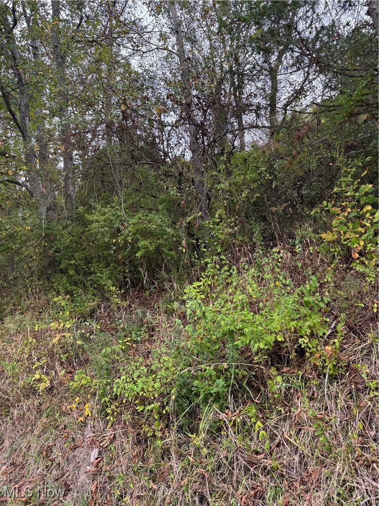 0 Lynn Camp Road Elizabeth, WV 26143 - Photo 5 of 6