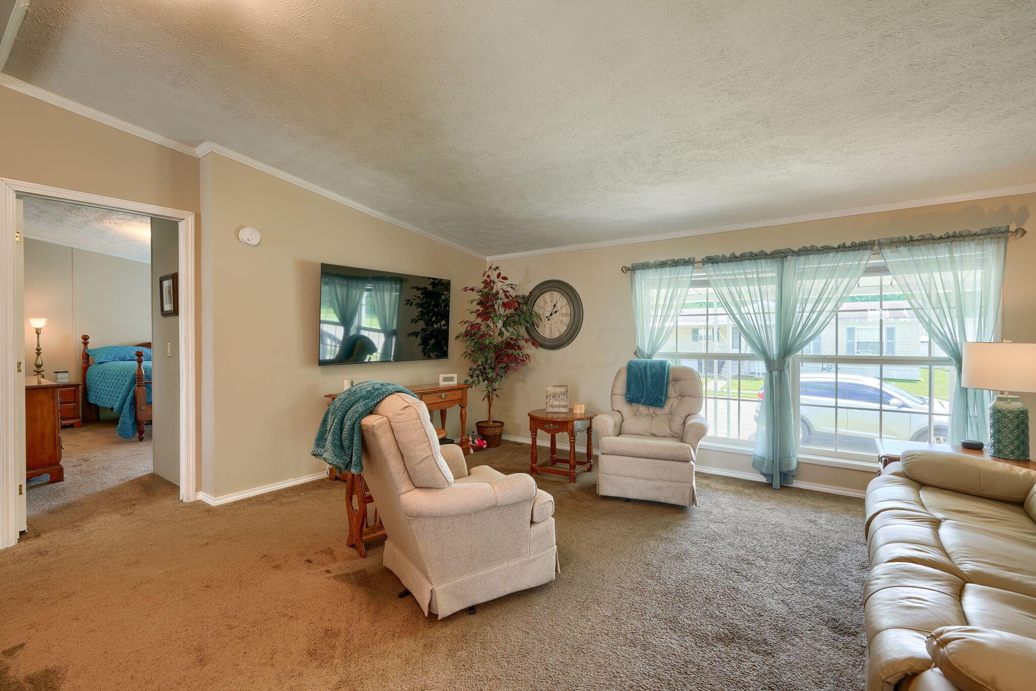 217 Rona Boulevard Pataskala, OH 43062 - Photo 5 of 21 Large Living Room