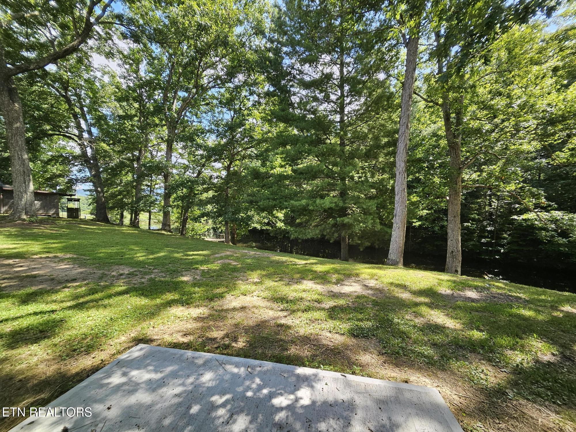 240 Fox Jones Road Lancing, TN 37770 - Photo 23 of 37 Patio off Primary