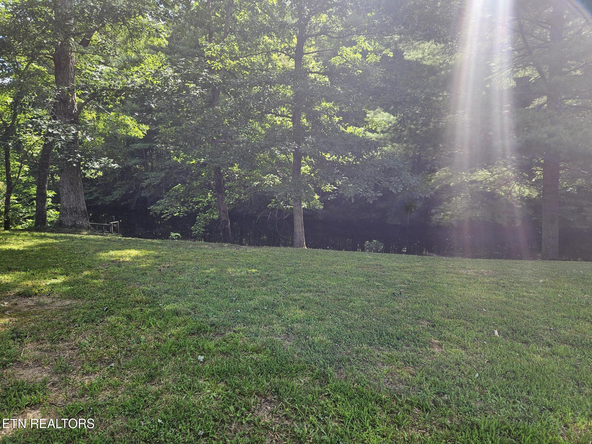 240 Fox Jones Road Lancing, TN 37770 - Photo 3 of 37 NEIGHBORS POND