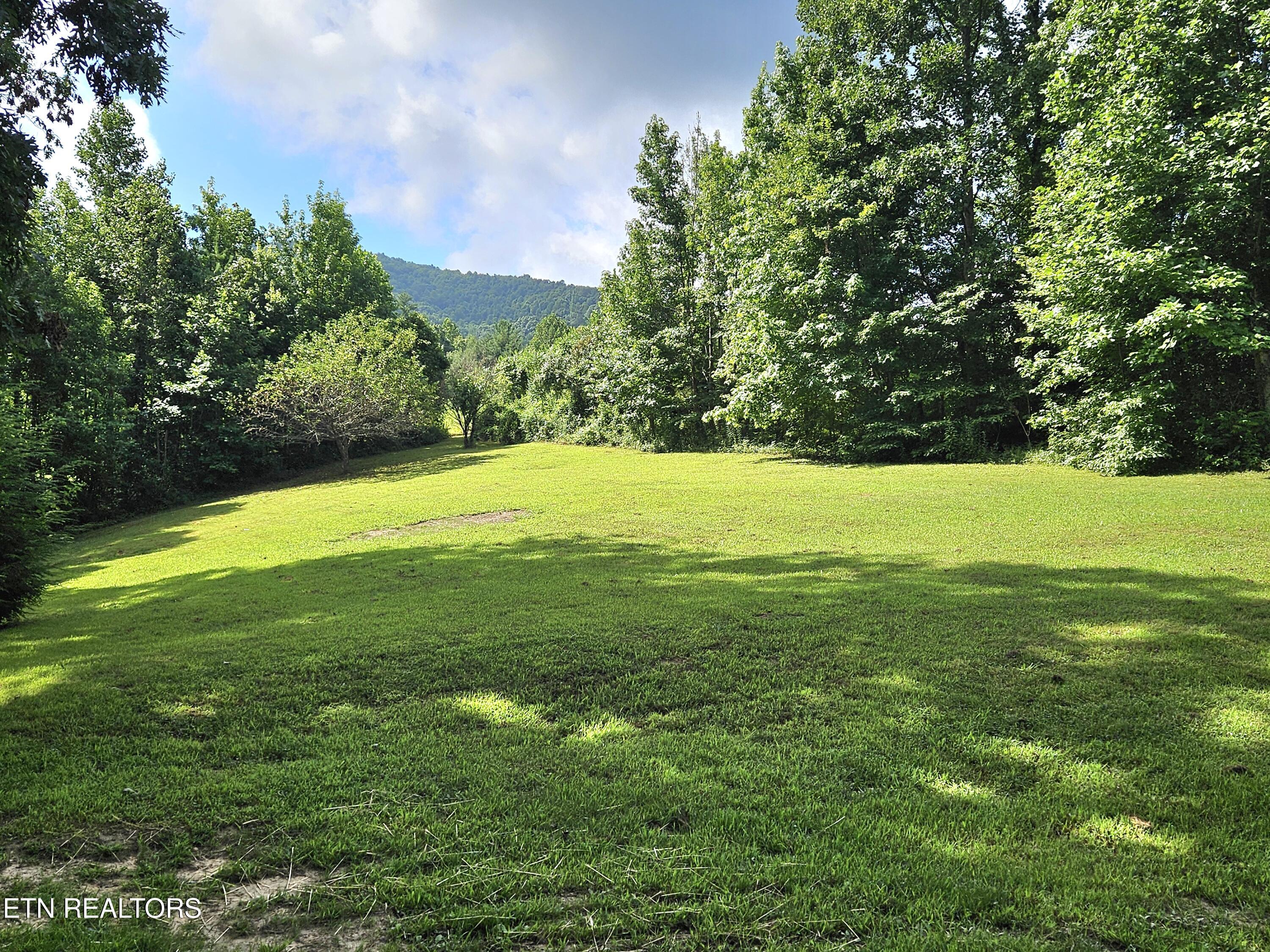 240 Fox Jones Road Lancing, TN 37770 - Photo 7 of 37 Back Yard