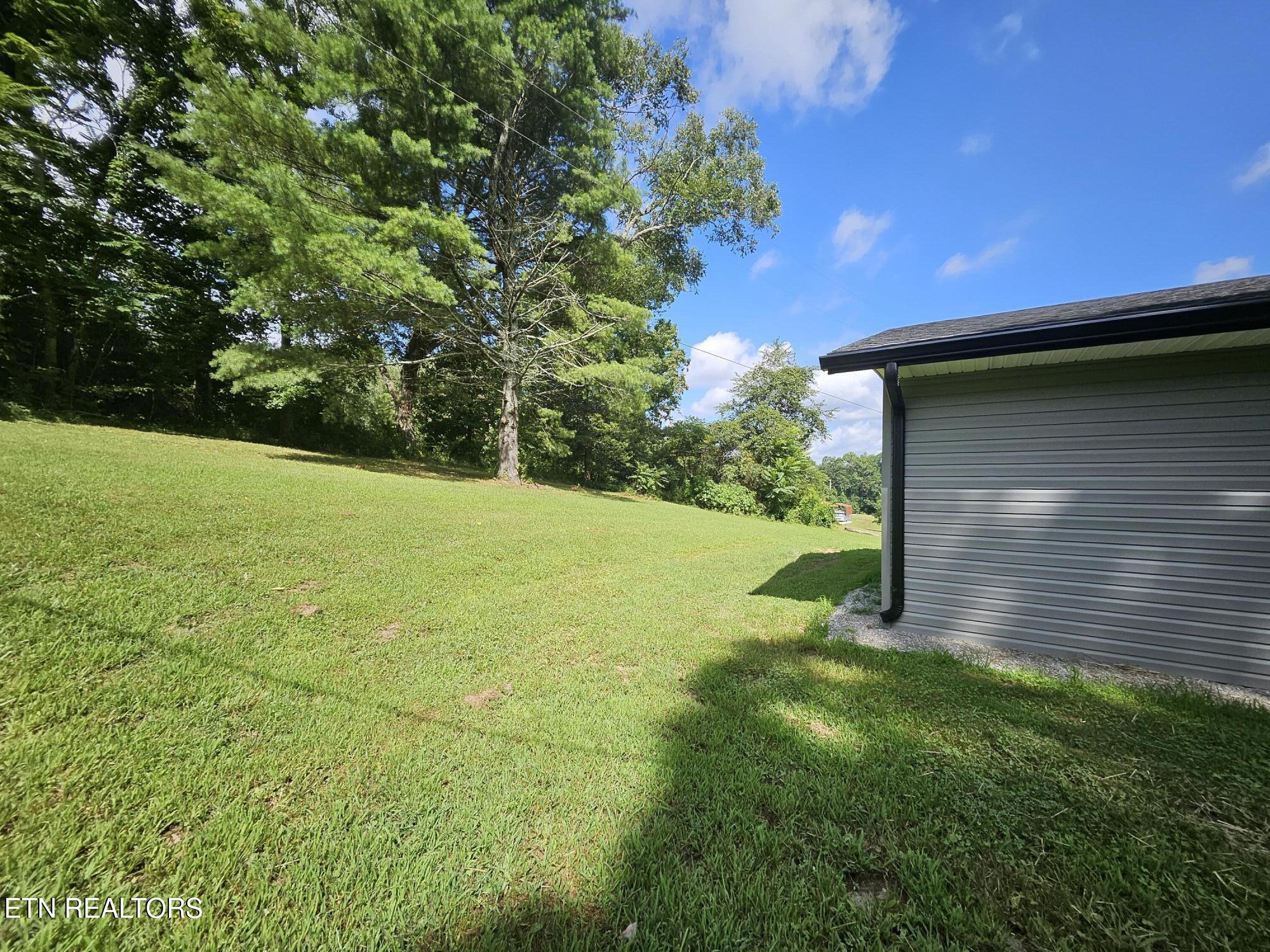240 Fox Jones Road Lancing, TN 37770 - Photo 10 of 37 Side yard