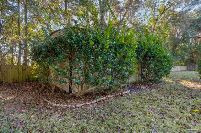 a view of backyard with plants and trees