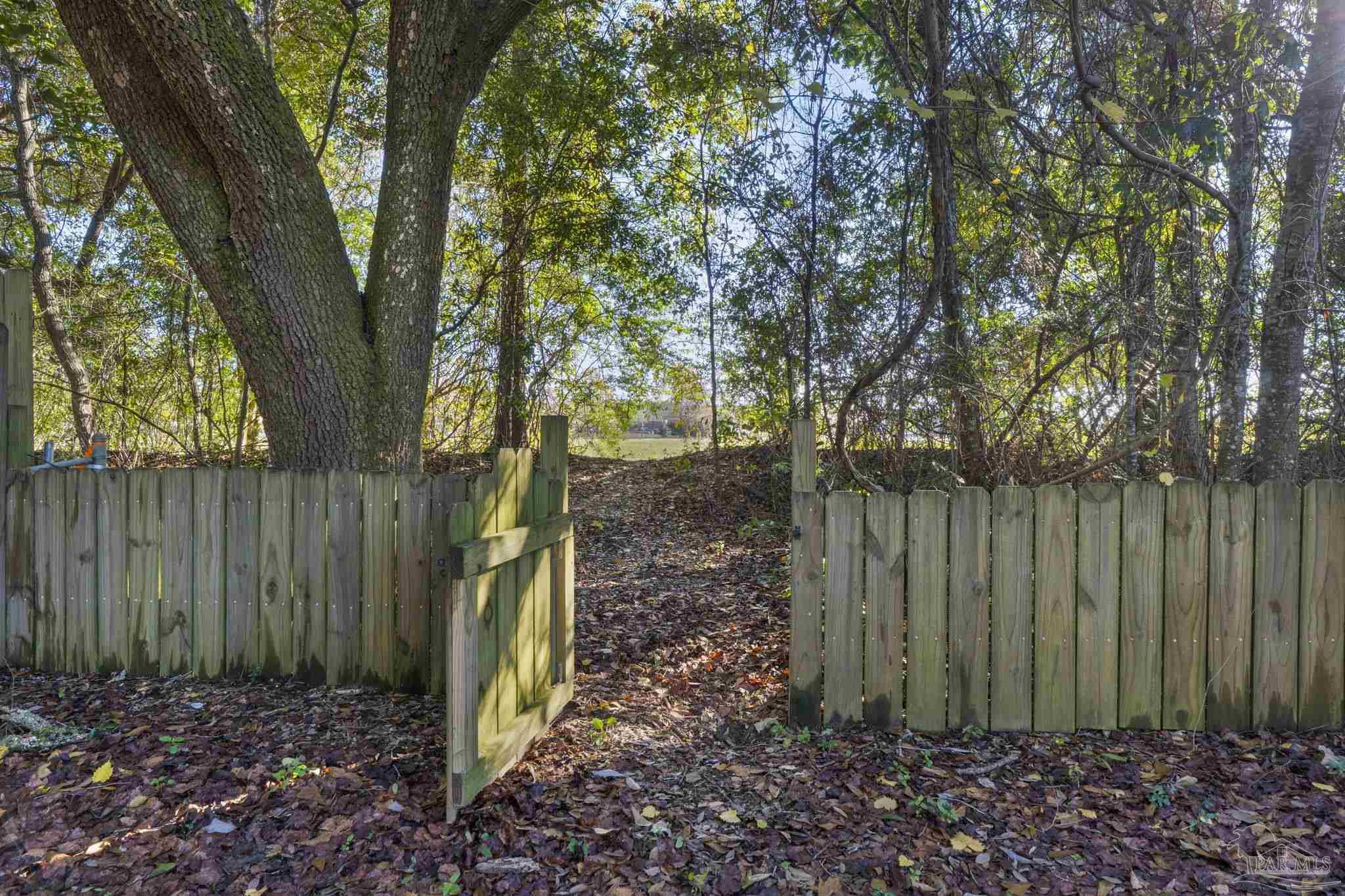 465 Ronda Street Pensacola, FL 32534 - Photo 38 of 48 a view of backyard with plants and trees
