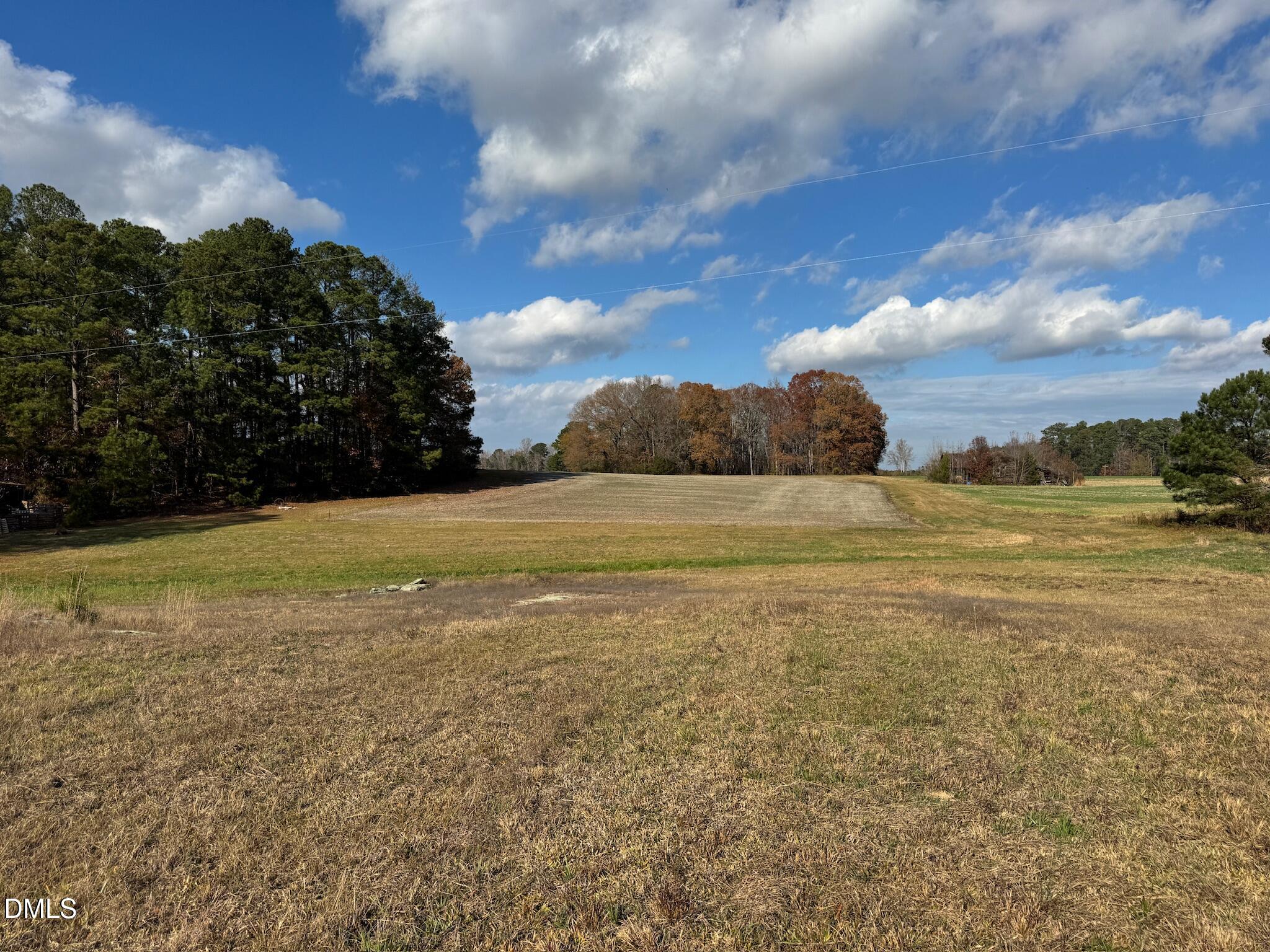 0 Martin Road Zebulon, NC 27597 - Photo 41 of 41 IMG_8734