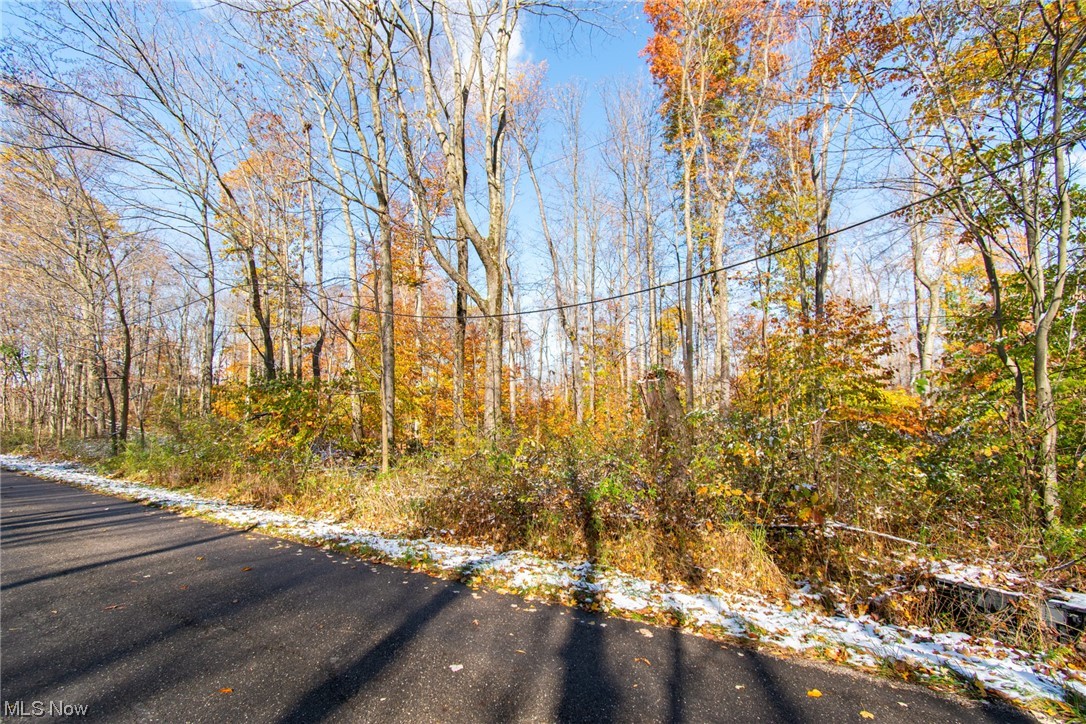 West Garfield Road Salem, OH 44460 - Photo 1 of 16 View of road