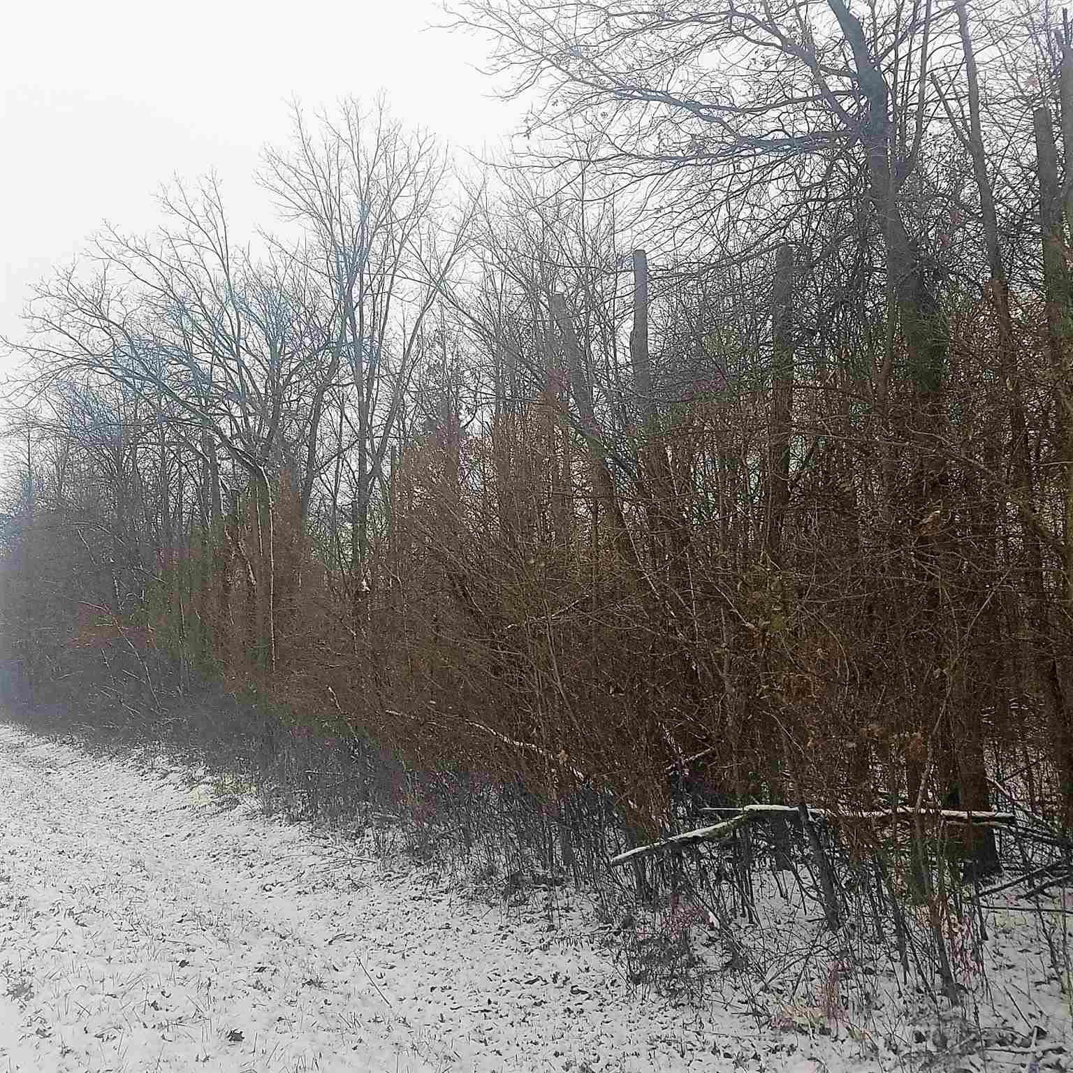9400 Dawson Road Monroeville, IN 46773 - Photo 8 of 9