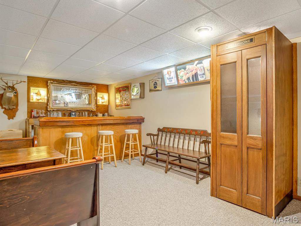 358 Prairietown Road Dorsey, IL 62021 - Photo 18 of 33