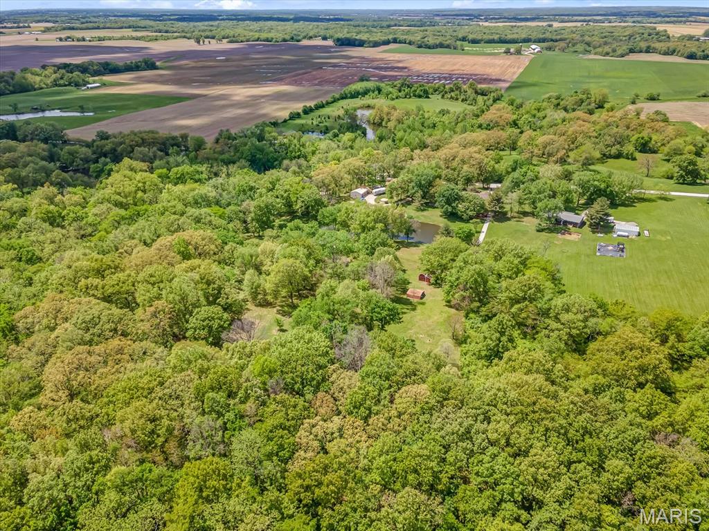 358 Prairietown Road Dorsey, IL 62021 - Photo 24 of 33