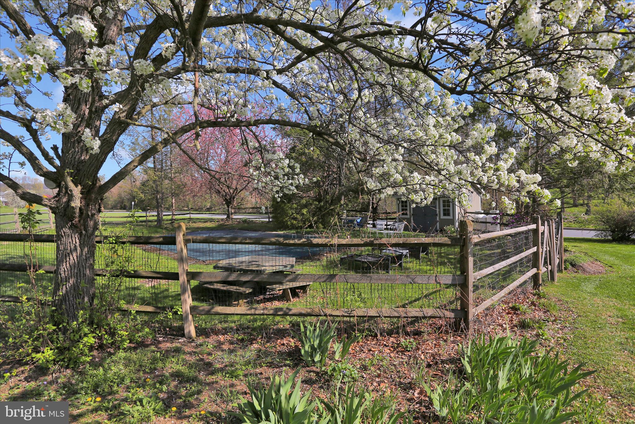 506 Wiest School Road Reading, PA 19606 - Photo 5 of 38 E26A2918