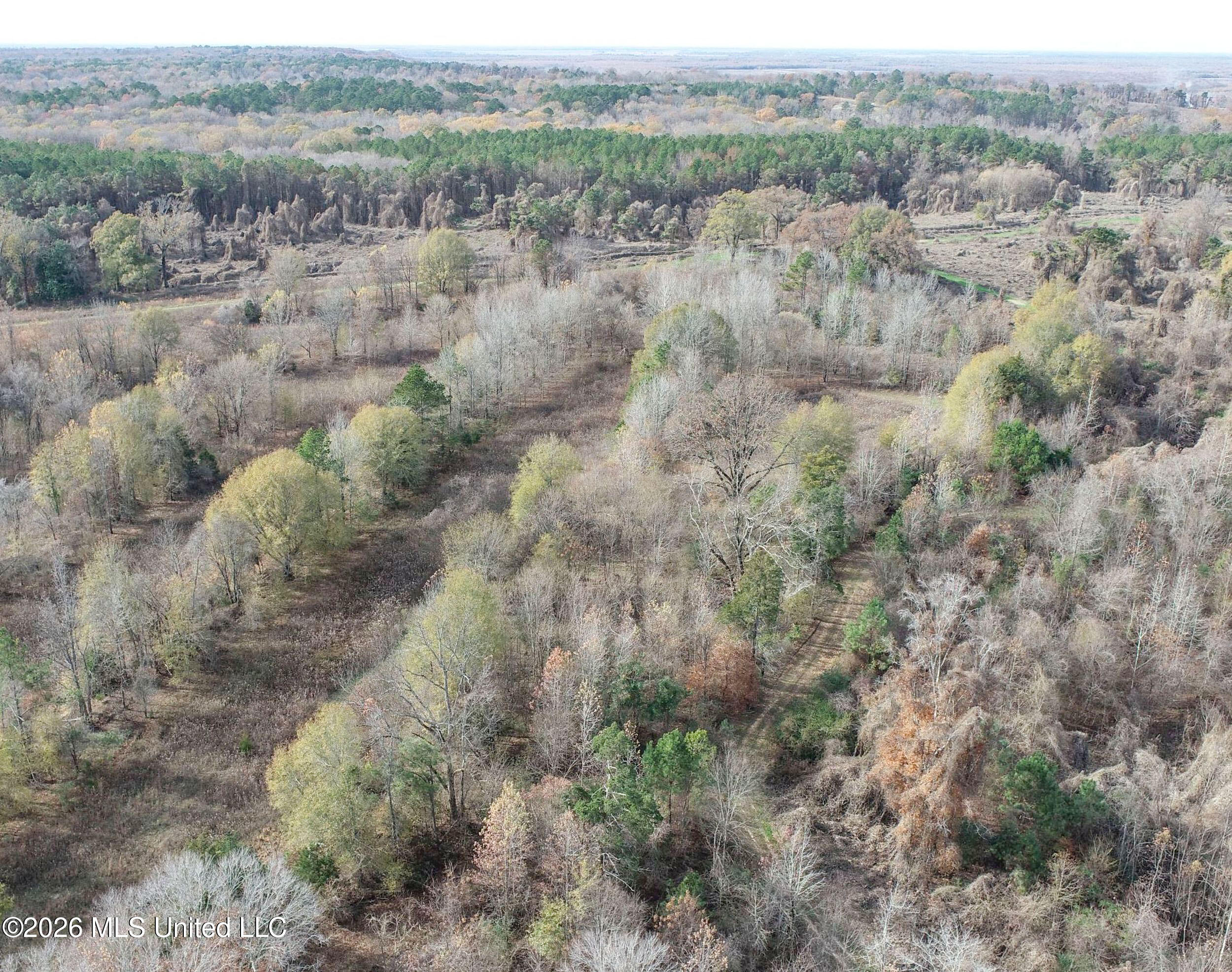 Chinqupin Road Lexington, MS 39095 - Photo 61 of 210 5chqpn47