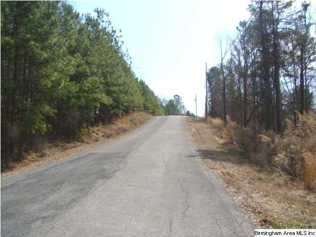Mohawk Bluff Drive Ohatchee, AL 36271 - Photo 5 of 5