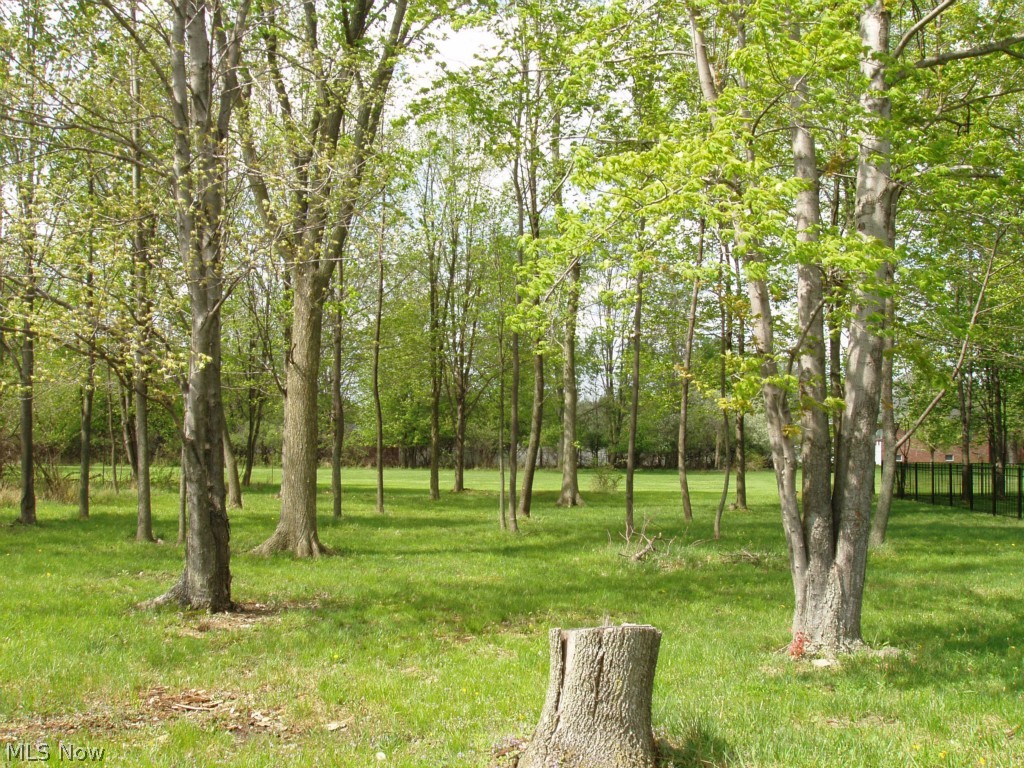 13132 Whitney Road Strongsville, OH 44136 - Photo 21 of 21 139 ft of wooded yard behind fenced area