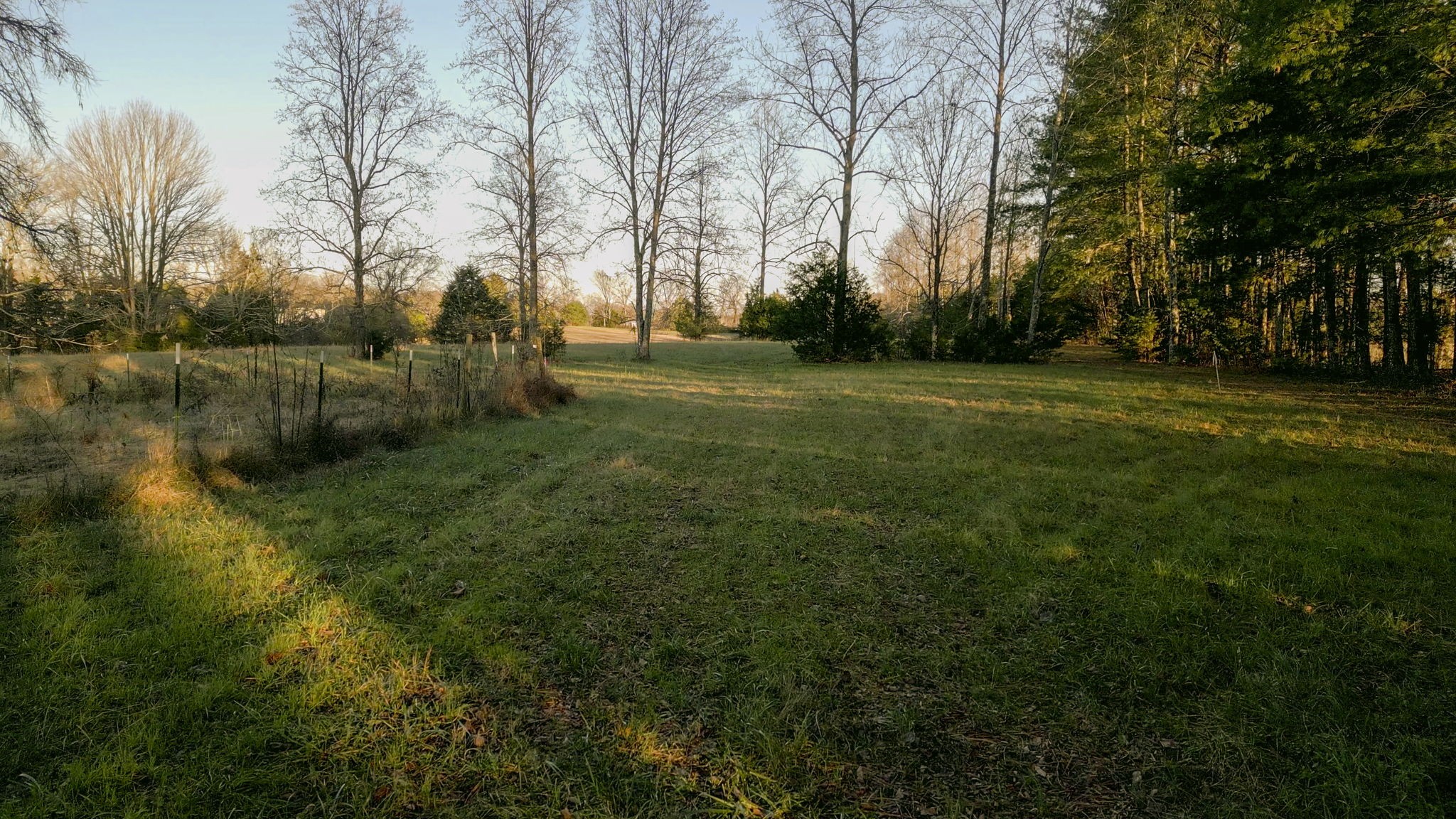 185 Bellwood Road Lebanon, TN 37087 - Photo 27 of 30 Gallery Image 27