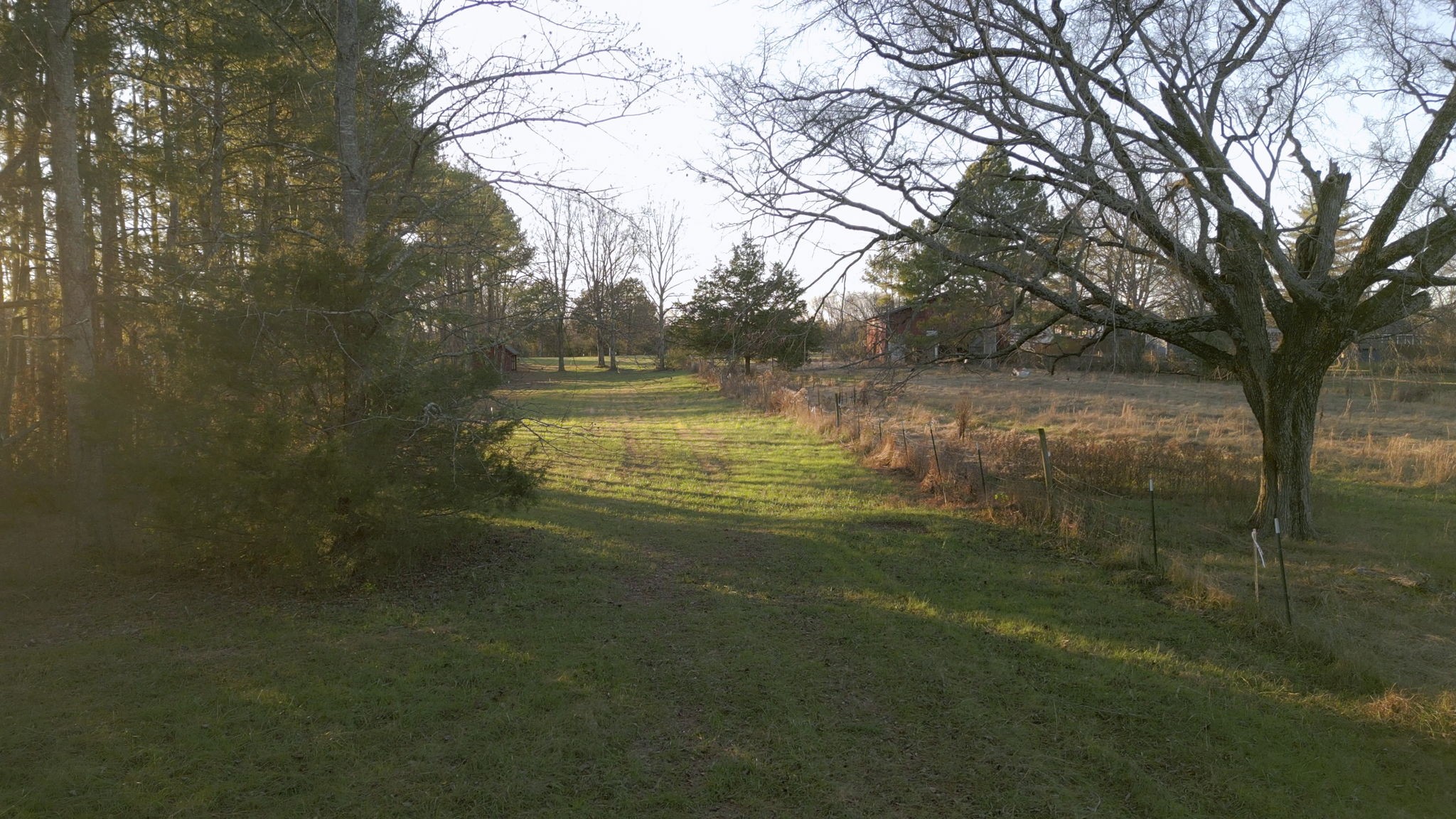 185 Bellwood Road Lebanon, TN 37087 - Photo 28 of 30 Gallery Image 28