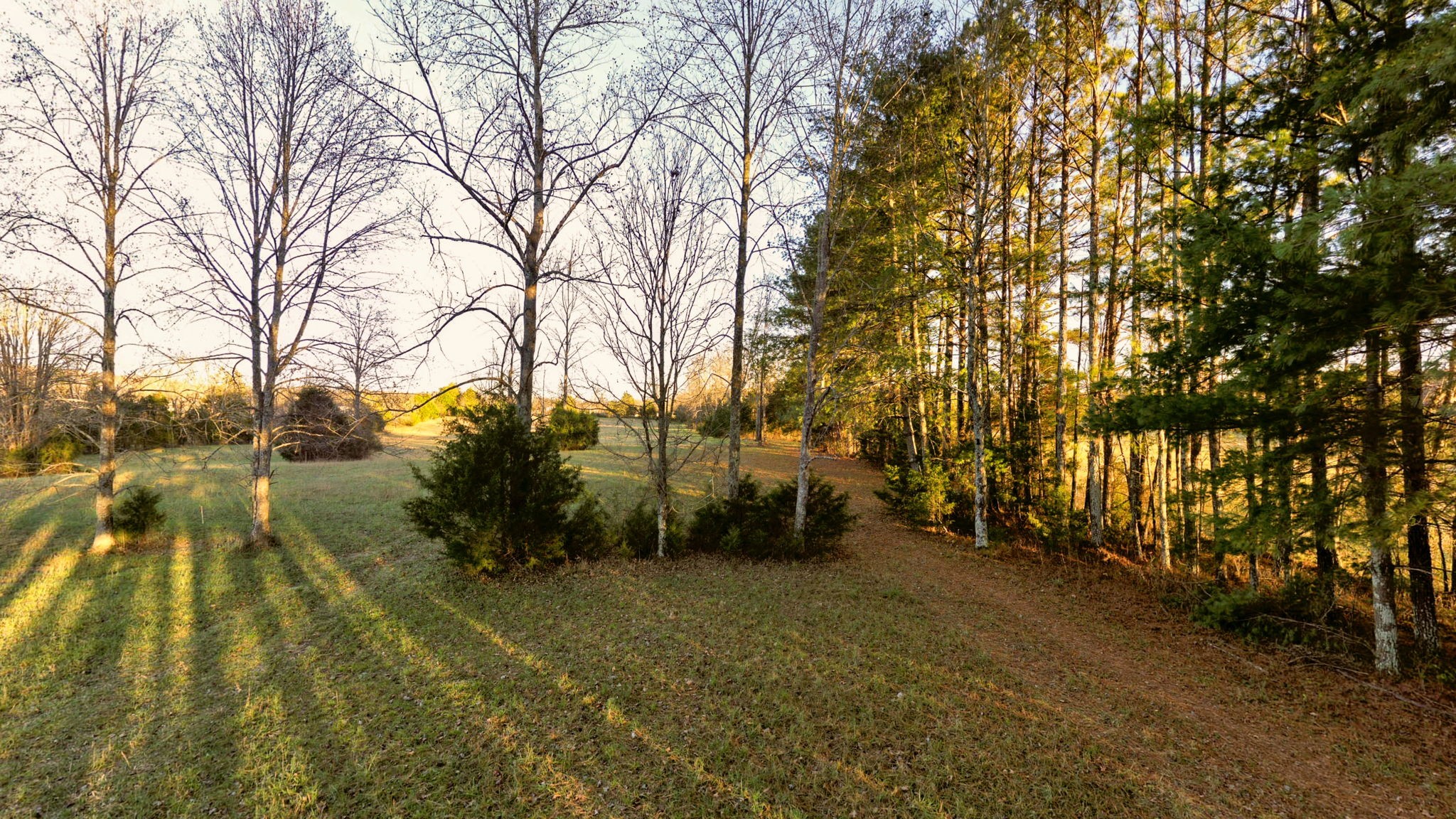 185 Bellwood Road Lebanon, TN 37087 - Photo 4 of 30 Gallery Image 4