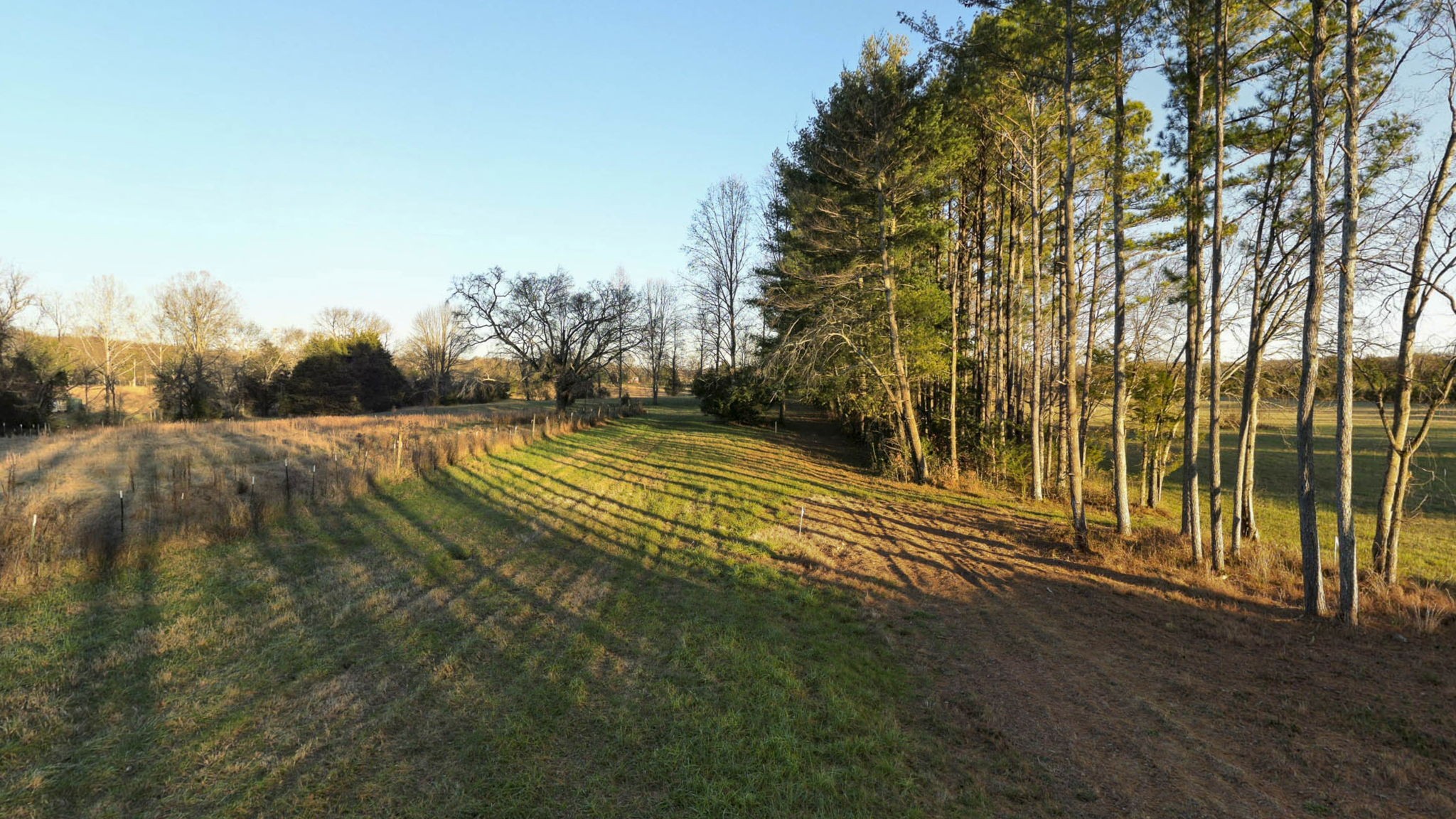 185 Bellwood Road Lebanon, TN 37087 - Photo 7 of 30 Gallery Image 7