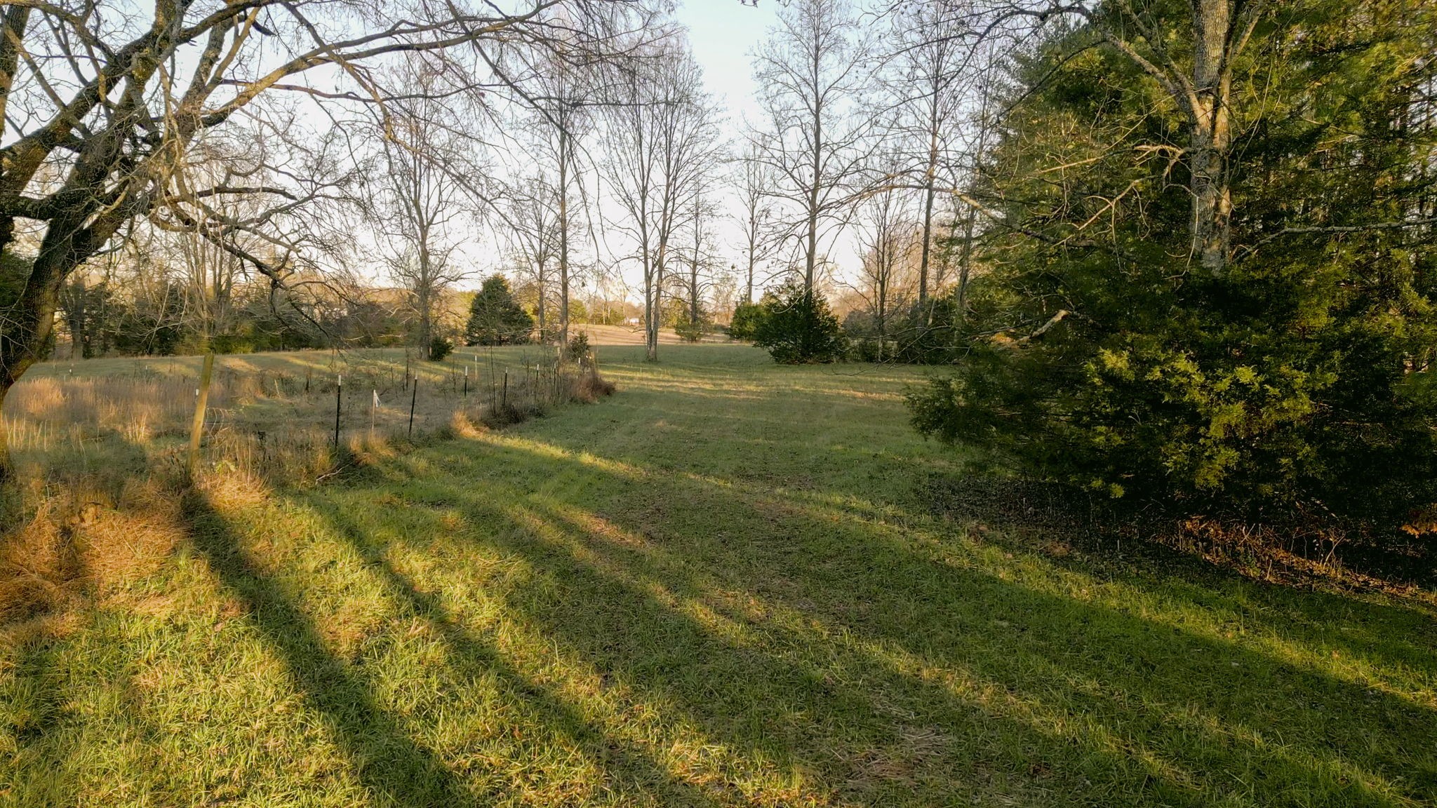 185 Bellwood Road Lebanon, TN 37087 - Photo 8 of 30 Gallery Image 8