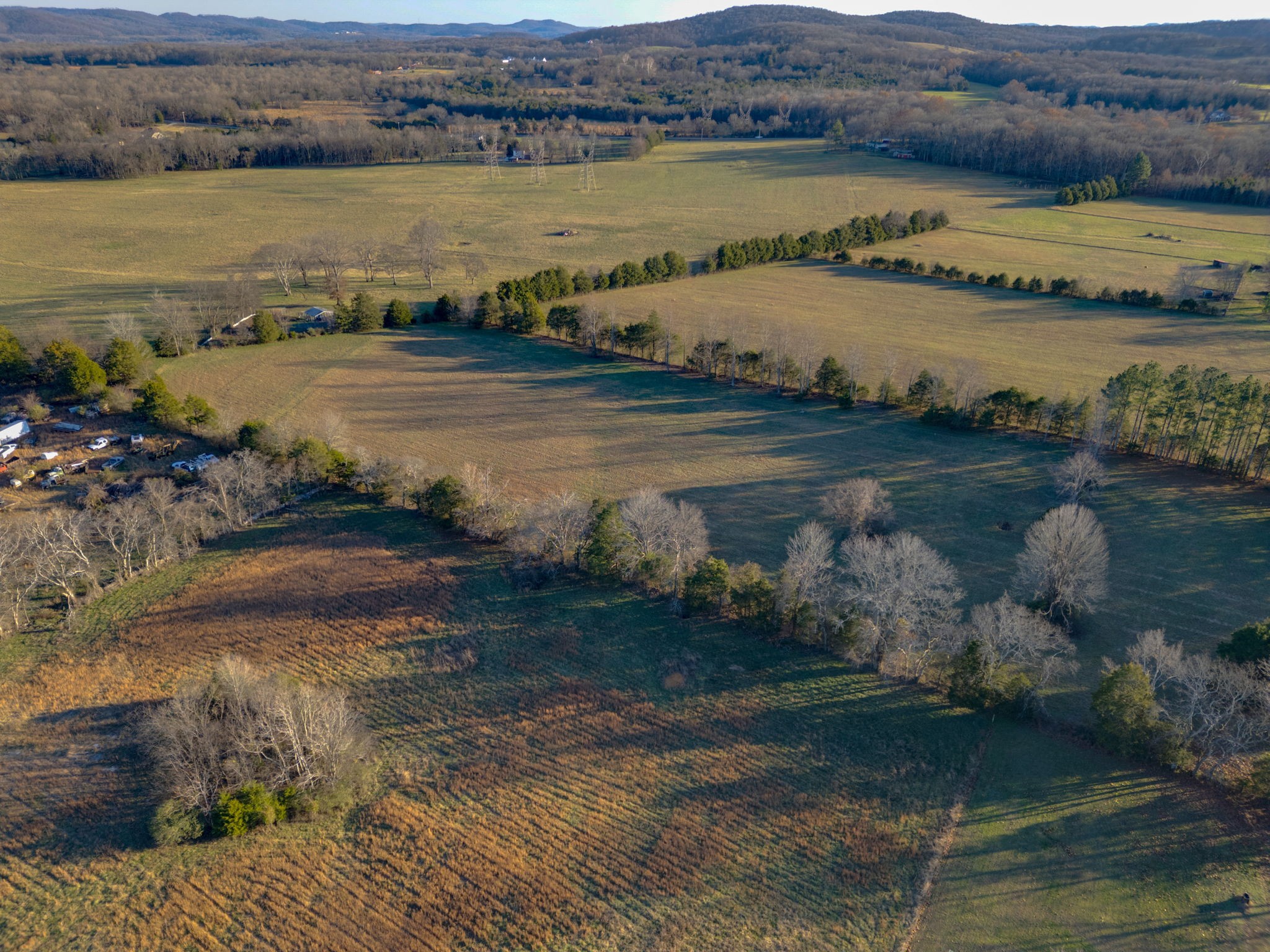 185 Bellwood Road Lebanon, TN 37087 - Photo 10 of 30 Gallery Image 10