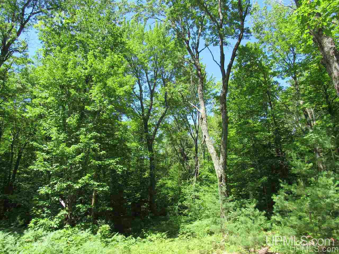 2804-acres Co Rd 442 McMillan, MI 49853 - Photo 27 of 48