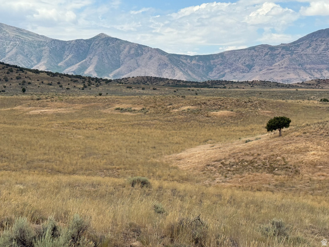16 Old Dam Road, Unit 16 Levan, UT 84639 - Photo 6 of 9