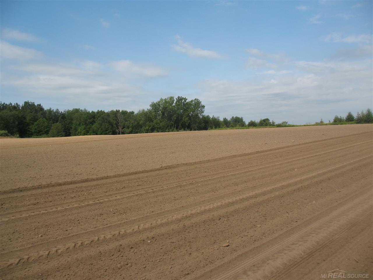 375 Charleston Road Ubly, MI 48475 - Photo 4 of 67 31380513-3.JPG