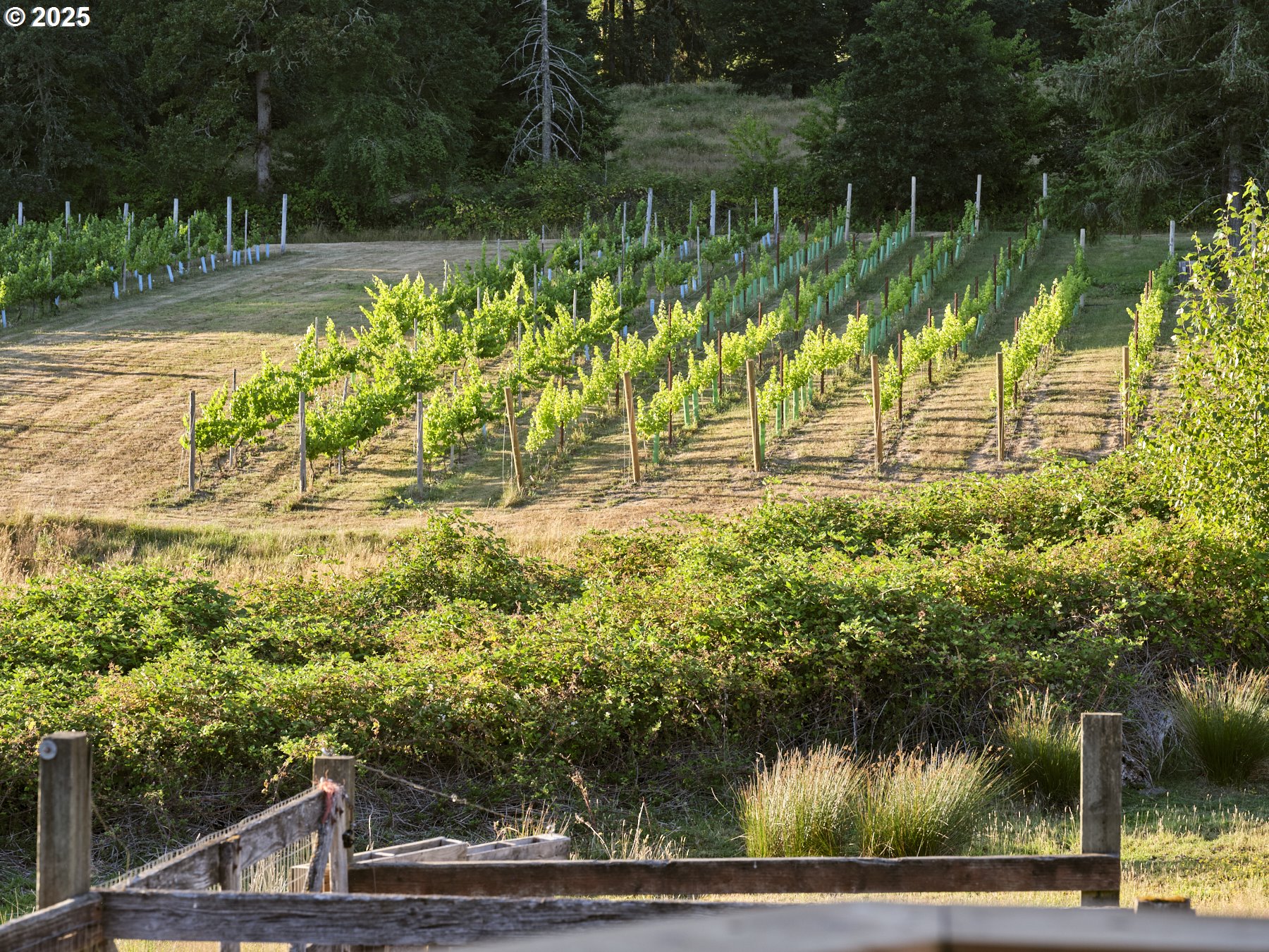 11700 Northeast 279th Street Battle Ground, WA 98604 - Photo 17 of 48 View