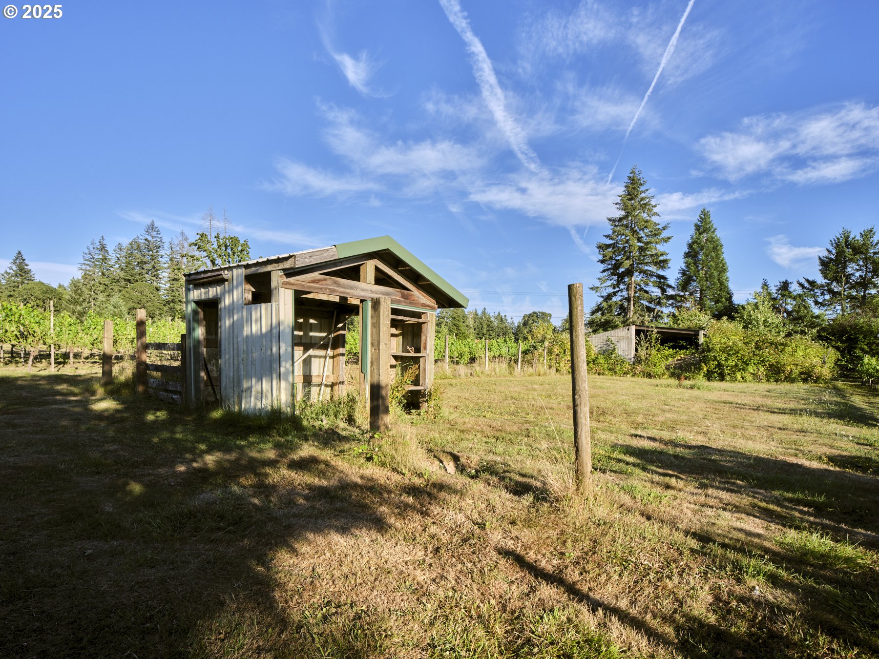 11700 Northeast 279th Street Battle Ground, WA 98604 - Photo 19 of 48 Yard