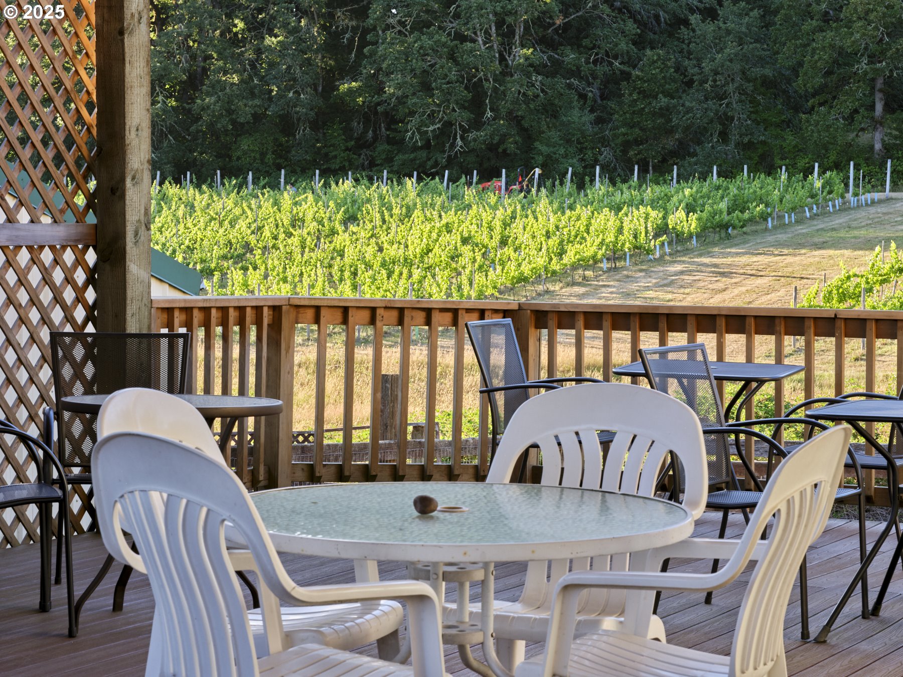 11700 Northeast 279th Street Battle Ground, WA 98604 - Photo 20 of 48 Deck