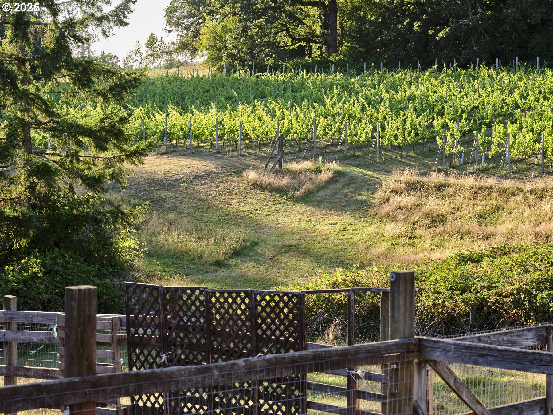 11700 Northeast 279th Street Battle Ground, WA 98604 - Photo 21 of 48 View