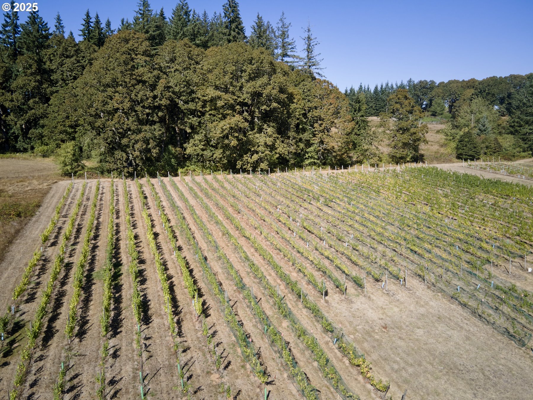11700 Northeast 279th Street Battle Ground, WA 98604 - Photo 29 of 48