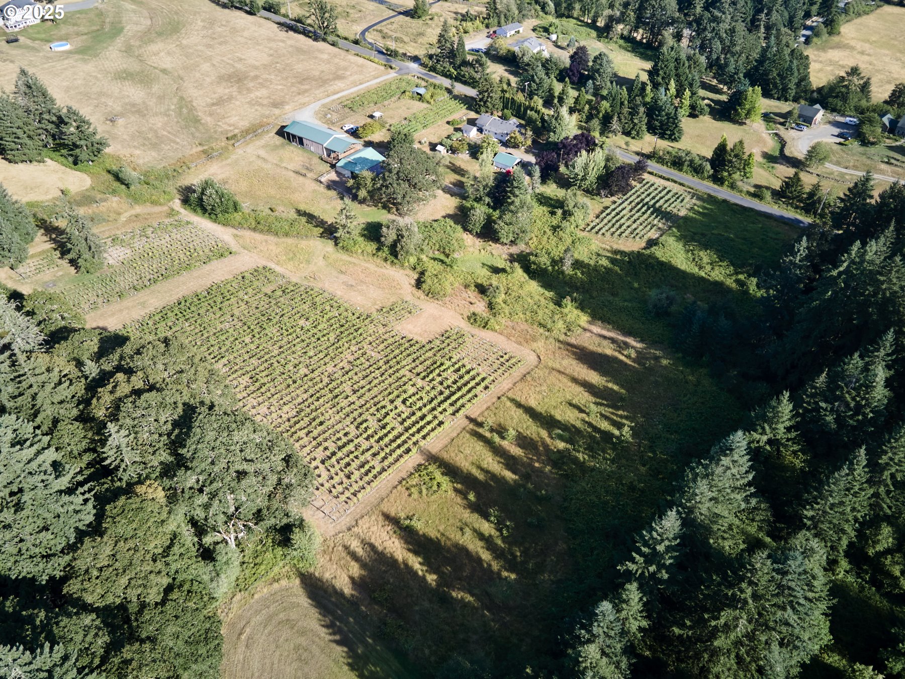 11700 Northeast 279th Street Battle Ground, WA 98604 - Photo 3 of 48 Acreage
