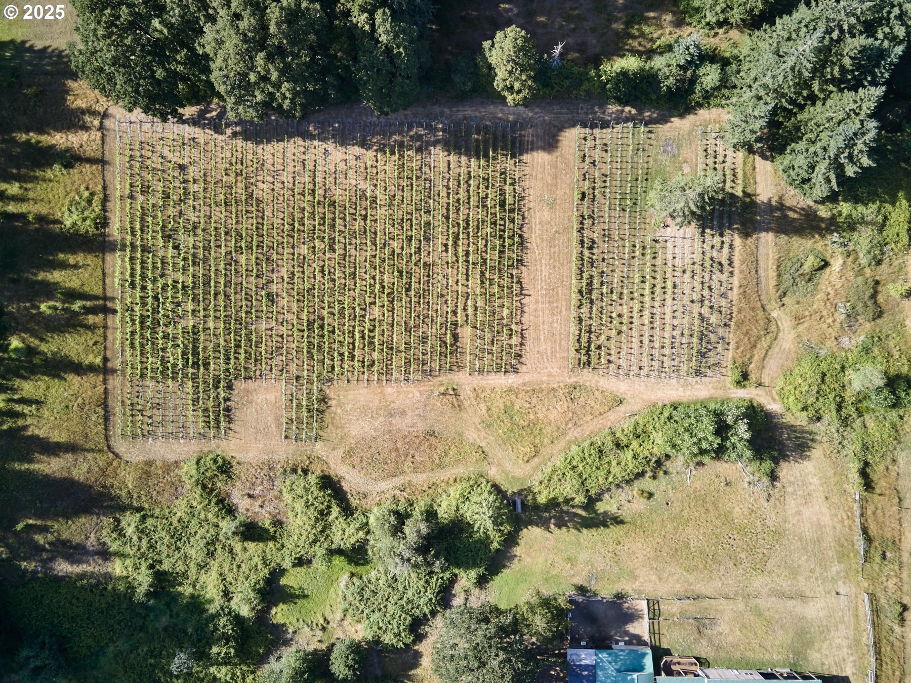 11700 Northeast 279th Street Battle Ground, WA 98604 - Photo 37 of 48 Acreage