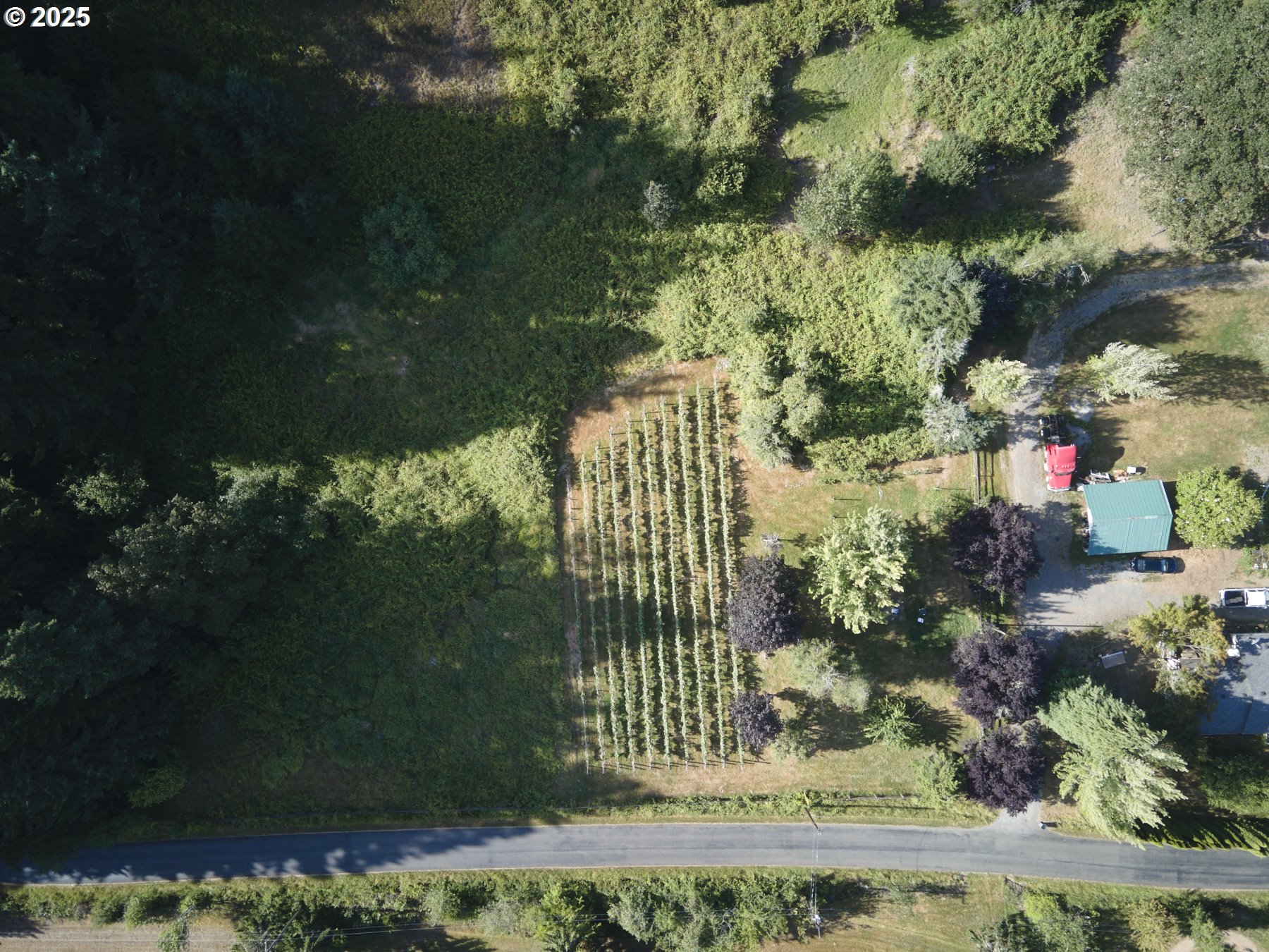 11700 Northeast 279th Street Battle Ground, WA 98604 - Photo 40 of 48 Acreage