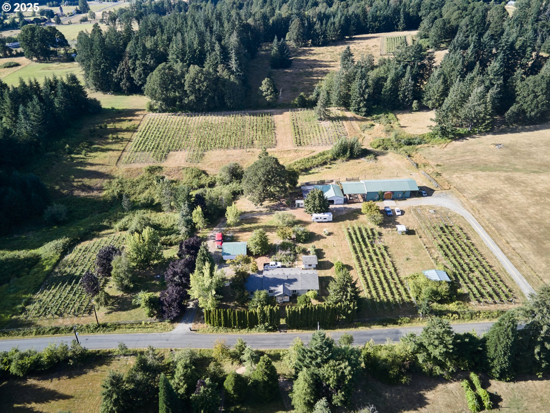 11700 Northeast 279th Street Battle Ground, WA 98604 - Photo 4 of 48 Acreage